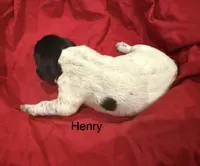 processed/e82344e8-6b38-4516-b18f-5eb705e92fc2/listing/dcef98bc-f8d0-4058-bd57-22541c8143c9/e2872b0e-e358-43e3-8200-2fd90e46dc3c