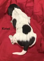 processed/e82344e8-6b38-4516-b18f-5eb705e92fc2/listing/f9ee0910-5aae-475c-8c01-86a2ffd2fa46/668d82a9-2f2f-47a8-828a-b09e30508030