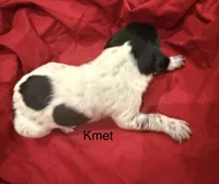 processed/e82344e8-6b38-4516-b18f-5eb705e92fc2/listing/f9ee0910-5aae-475c-8c01-86a2ffd2fa46/7b1937bf-dae3-4cb3-aa0b-d00746bdd1eb