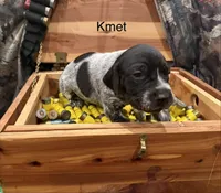 processed/e82344e8-6b38-4516-b18f-5eb705e92fc2/listing/f9ee0910-5aae-475c-8c01-86a2ffd2fa46/a3b78232-4c76-4fe0-acd3-27bd9ab01e81