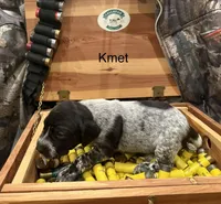 processed/e82344e8-6b38-4516-b18f-5eb705e92fc2/listing/f9ee0910-5aae-475c-8c01-86a2ffd2fa46/e5370611-0d19-4c07-bd9b-bfec65bb1ca6