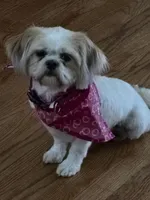 processed/e8243eef-ddf7-487c-86ee-99463c45f95c/listing/c0841701-fed6-42a9-8047-e6d7145af73f/d2064d69-8261-4d41-ba61-52dc4707d49e