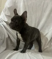 processed/e82efc9e-a7f4-43d4-a2ce-c5df85ae9664/listing/8e0eadd6-6da0-4d2b-b25b-ef7ca1fc3bf8/289e777d-37ff-4844-b7b8-5d64d9bf7d1e