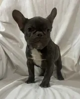 processed/e82efc9e-a7f4-43d4-a2ce-c5df85ae9664/listing/8e0eadd6-6da0-4d2b-b25b-ef7ca1fc3bf8/3b256ea7-56d8-4832-ad02-393838fb7cb3