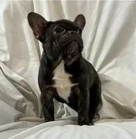 processed/e82efc9e-a7f4-43d4-a2ce-c5df85ae9664/listing/8e0eadd6-6da0-4d2b-b25b-ef7ca1fc3bf8/5555b49d-19a2-487b-9681-a1ac9408278c