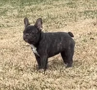 processed/e82efc9e-a7f4-43d4-a2ce-c5df85ae9664/listing/8e0eadd6-6da0-4d2b-b25b-ef7ca1fc3bf8/55a64436-4fe7-4055-ac19-c2a13b8f00c5