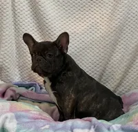 processed/e82efc9e-a7f4-43d4-a2ce-c5df85ae9664/listing/8e0eadd6-6da0-4d2b-b25b-ef7ca1fc3bf8/7033f49d-fdce-4ba6-8890-458a5db936dc