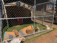Facility photo