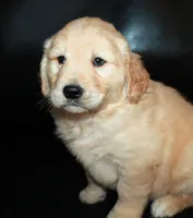 processed/e8333360-a471-4653-875d-540878d79d8a/listing/05156ccd-b5ec-4ce5-aa28-88f57ceac5b9/42c75752-eb6f-4c66-9237-0d5f1c63184f