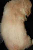 processed/e8333360-a471-4653-875d-540878d79d8a/listing/05156ccd-b5ec-4ce5-aa28-88f57ceac5b9/4ee2865c-0458-41e5-aa02-1c5ad6c6bf9b