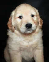 processed/e8333360-a471-4653-875d-540878d79d8a/listing/05156ccd-b5ec-4ce5-aa28-88f57ceac5b9/759a909c-8f93-4453-a986-3e5341687220