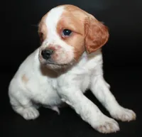 processed/e8333360-a471-4653-875d-540878d79d8a/listing/1a0d5a9a-f1d9-4254-beb3-660fbf50e4fd/07e4ce59-822c-4410-8ba5-0cb9f053e7ae