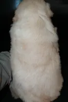 processed/e8333360-a471-4653-875d-540878d79d8a/listing/3459ac00-8e61-49fb-81ba-570538b7a80a/43297f55-b487-4830-a5e7-183d94251a2a