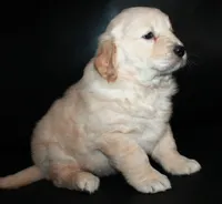 processed/e8333360-a471-4653-875d-540878d79d8a/listing/3459ac00-8e61-49fb-81ba-570538b7a80a/4e7412a2-f5ef-4996-90d3-2da56998d143