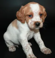 processed/e8333360-a471-4653-875d-540878d79d8a/listing/62100f0f-a72e-4dd2-8b43-83a82f119427/3df0f5cc-34de-4d39-a355-57f7b7adbb0b