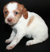 processed/e8333360-a471-4653-875d-540878d79d8a/listing/7edb3e36-aad9-4a9f-a35d-0a6879a349df/0f145955-3157-4c31-95d4-e4f9c2541447