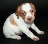 processed/e8333360-a471-4653-875d-540878d79d8a/listing/7edb3e36-aad9-4a9f-a35d-0a6879a349df/4240badf-7e9b-44a9-8b60-5a26258d744a