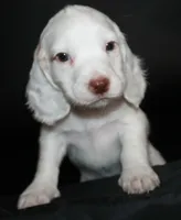 processed/e8333360-a471-4653-875d-540878d79d8a/listing/ce3fd117-ff38-4fa8-911b-d50a69034beb/51682398-3cfe-4c6c-ac11-6ee89d64a074