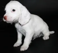 processed/e8333360-a471-4653-875d-540878d79d8a/listing/ce3fd117-ff38-4fa8-911b-d50a69034beb/579d6320-7f72-4494-a4a3-12f49f26dfa0