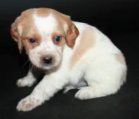 processed/e8333360-a471-4653-875d-540878d79d8a/listing/f4ef88e2-8e84-4679-b9a0-d7355aa55ff4/567fe8e1-2c25-40a1-a1ef-ebaa61994ce1