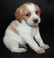 processed/e8333360-a471-4653-875d-540878d79d8a/listing/f4ef88e2-8e84-4679-b9a0-d7355aa55ff4/cafc09ff-72e7-474f-a6ba-2ccf3df76a2e