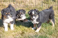 processed/e84602cd-ad69-48c6-99c1-5d9ee7fdb384/listing/5da45dbd-6428-4c3d-9272-c8442f7b9777/29c5475a-9984-4289-96c5-301e5b579a71