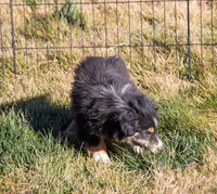 processed/e84602cd-ad69-48c6-99c1-5d9ee7fdb384/listing/5da45dbd-6428-4c3d-9272-c8442f7b9777/99f3c9c1-650e-4697-8962-563e8e0dc7b9