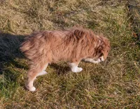 processed/e84602cd-ad69-48c6-99c1-5d9ee7fdb384/listing/b70d4e9f-28ac-4cbb-a90c-d32135380f8b/2b302a7d-f8d4-4f95-804f-aa4e41f2be35