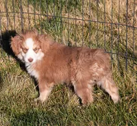 processed/e84602cd-ad69-48c6-99c1-5d9ee7fdb384/listing/b70d4e9f-28ac-4cbb-a90c-d32135380f8b/56c9b421-c878-4721-bf24-c85d1b47d8a0