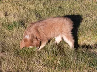 processed/e84602cd-ad69-48c6-99c1-5d9ee7fdb384/listing/b70d4e9f-28ac-4cbb-a90c-d32135380f8b/5ea69417-a411-487d-b491-5a78c3213d00