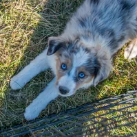 processed/e84602cd-ad69-48c6-99c1-5d9ee7fdb384/listing/c7933c4f-77b2-41f6-b425-1e68aa06d3af/57a10cad-ec9b-43ca-8da2-85730e8c702d