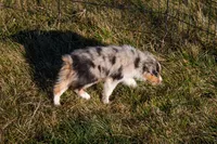 processed/e84602cd-ad69-48c6-99c1-5d9ee7fdb384/listing/c7933c4f-77b2-41f6-b425-1e68aa06d3af/6e3cbed5-2ef6-4acc-b744-ca42322c7f3d