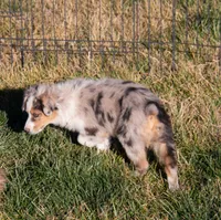 processed/e84602cd-ad69-48c6-99c1-5d9ee7fdb384/listing/c7933c4f-77b2-41f6-b425-1e68aa06d3af/bf35b8e1-46ab-4a86-9a31-206c929b8f09