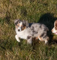 processed/e84602cd-ad69-48c6-99c1-5d9ee7fdb384/listing/c7933c4f-77b2-41f6-b425-1e68aa06d3af/f757d24a-c023-4891-8cf9-aeaf5ce12b80