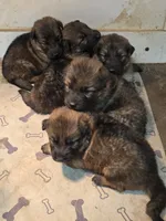 processed/e8487167-fc02-4bcd-8860-d5cb3d5b72fd/facility/129ad092-b3ba-4bf9-8dcf-45c78ea7cd24