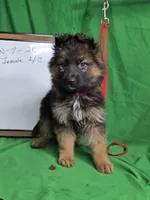 processed/e8487167-fc02-4bcd-8860-d5cb3d5b72fd/facility/4392e6eb-11de-4947-a140-cdc25e7c6463