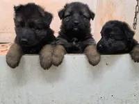 processed/e8487167-fc02-4bcd-8860-d5cb3d5b72fd/facility/62c4404a-647e-4611-b69f-b34a301d5c91