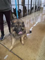 processed/e8487167-fc02-4bcd-8860-d5cb3d5b72fd/facility/92b06209-2b51-4c70-aa13-7193d724cc6c