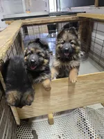 processed/e8487167-fc02-4bcd-8860-d5cb3d5b72fd/facility/9394e19e-53ba-4785-8438-1cedb5d686e1