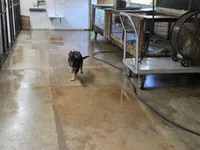 processed/e8487167-fc02-4bcd-8860-d5cb3d5b72fd/facility/96e7cc5b-4858-4acd-a1a2-35b376527add