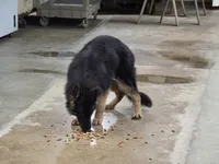 processed/e8487167-fc02-4bcd-8860-d5cb3d5b72fd/facility/bfb04d14-a731-4a7b-b307-590b0828e439