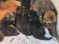 processed/e8487167-fc02-4bcd-8860-d5cb3d5b72fd/facility/ebff6ee4-32c9-475b-99c9-d41723b567c7