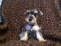 processed/e8500251-e669-44b7-a4bd-fc94882f3e4e/facility/0e8604ad-9ca4-4bed-98cf-b36dd227c7a2