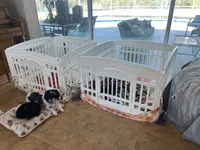 processed/e8500251-e669-44b7-a4bd-fc94882f3e4e/facility/28029e23-4c4a-4481-b025-9f235cc7cc5f