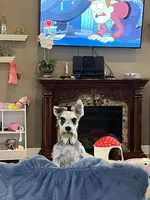 processed/e8500251-e669-44b7-a4bd-fc94882f3e4e/facility/993458df-7d30-4466-9c21-5ed183db5a84