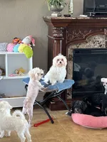 processed/e8500251-e669-44b7-a4bd-fc94882f3e4e/facility/bfa6a457-3226-42b7-a668-50b8df886d05