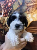 processed/e8500251-e669-44b7-a4bd-fc94882f3e4e/listing/060fdc9f-a17c-4acf-ad2f-d729e7a522a9/416b5a2d-f2ad-428d-8f82-294a068c443f