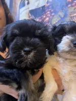 processed/e8500251-e669-44b7-a4bd-fc94882f3e4e/listing/060fdc9f-a17c-4acf-ad2f-d729e7a522a9/432749ef-a571-4279-8b01-aeec927869ff