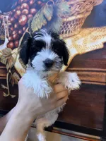 processed/e8500251-e669-44b7-a4bd-fc94882f3e4e/listing/060fdc9f-a17c-4acf-ad2f-d729e7a522a9/53c5b04c-d8fb-44c4-9ef0-5431ed302cd5