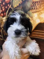 processed/e8500251-e669-44b7-a4bd-fc94882f3e4e/listing/060fdc9f-a17c-4acf-ad2f-d729e7a522a9/649039e0-5034-42e5-adef-67fda51c8105